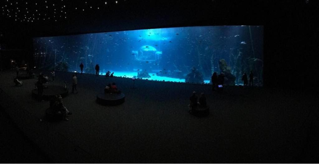 Las Canteras Aquarium Las Palmas de Gran Canaria Exterior photo